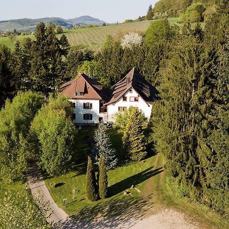 Gaestehaus Kaltenbach Hotel Staufen im Breisgau Buitenkant foto