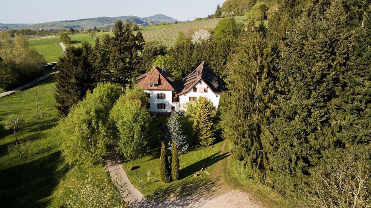 Gaestehaus Kaltenbach Hotel Staufen im Breisgau Buitenkant foto